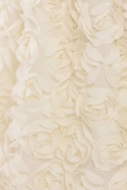 3D Floral Mesh Midaxi Skirt by Goddiva