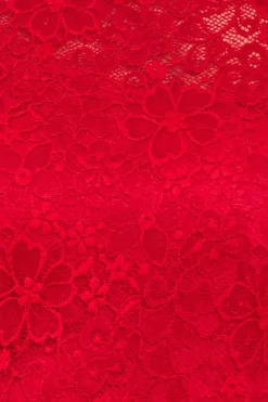 Flutter Sleeve Lace A-Line Midi Dress - Red by Goddiva