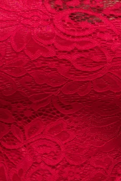 Lace High Neck Sheer Bodice Long Sleeve Maxi Dress - Red by Goddiva