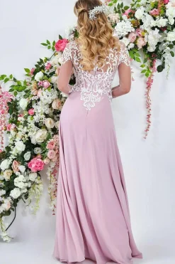 Mesh & Lace Embroidered Bodice Maxi - Blush by Goddiva