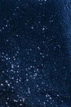 Sequin Velvet Jumper - Navy by Goddiva