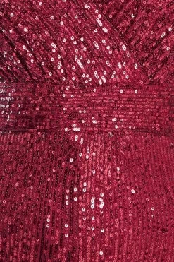 Stripe Sequin Jumpsuit - Wine by Goddiva